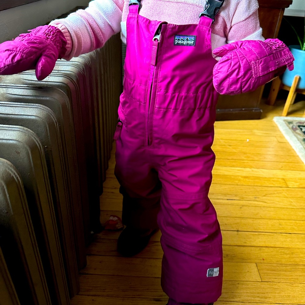 Patagonia snow pants and matching gloves